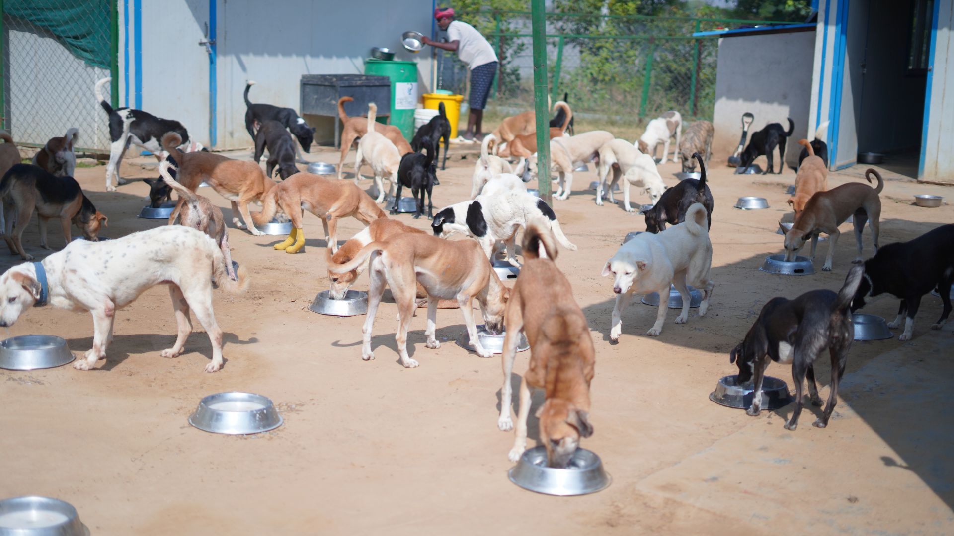 Read more about the article NGO Donations: One-time vs Monthly: Which Creates More Impact?