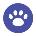 Screenshot 2026-01-26 at 09-47-31 Trusted Dog NGO in Delhi Helping with Rescue & Adoption