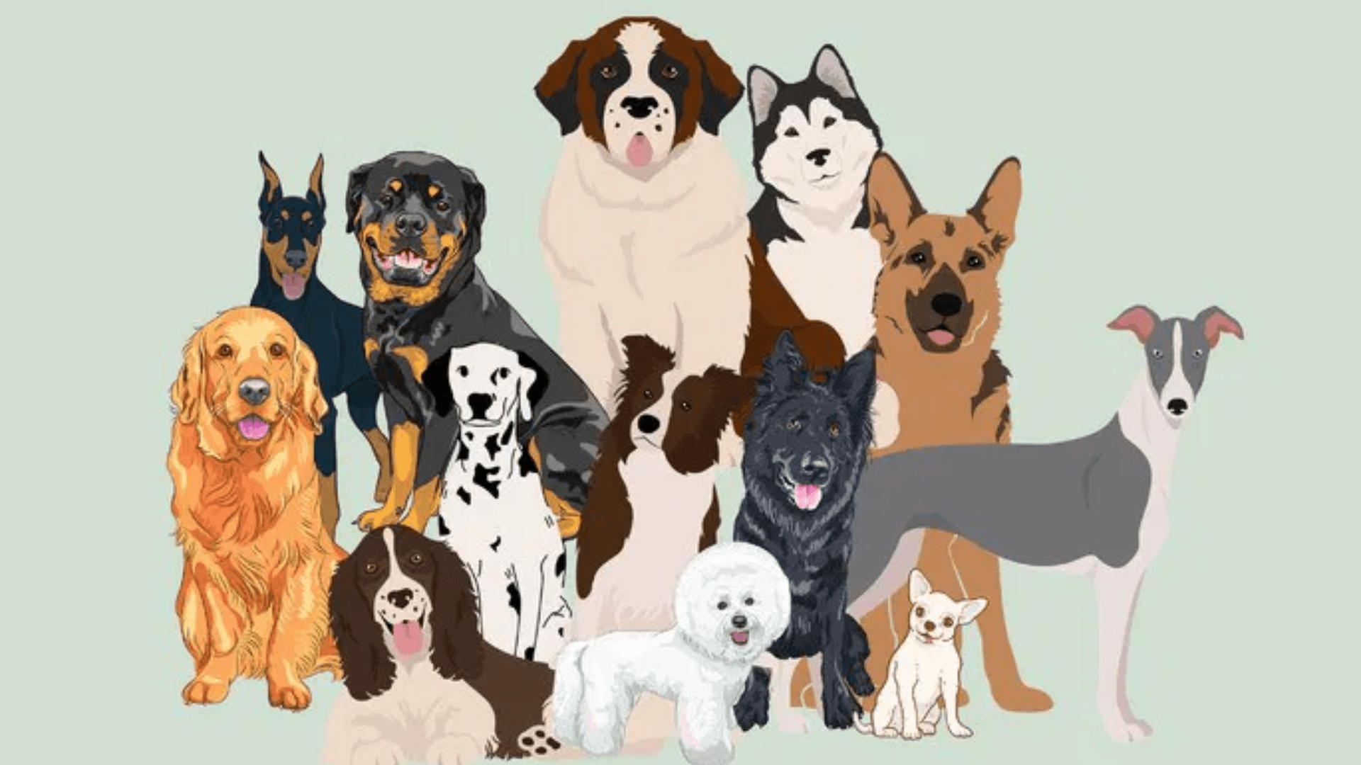 Read more about the article Types of Dog Breeds You Can Adopt in India (Rescued & Indie)