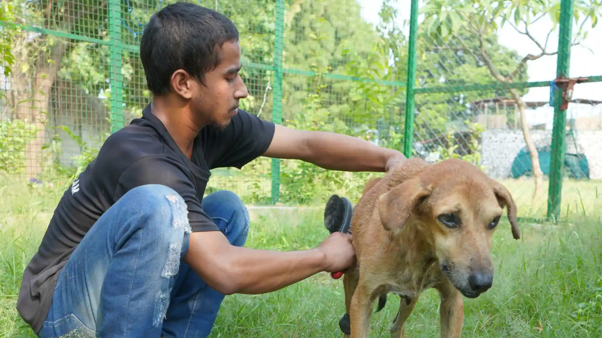 Read more about the article Pet Care Guide for First-Time Pet Owners in India