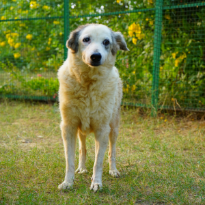 Tinda’s Story