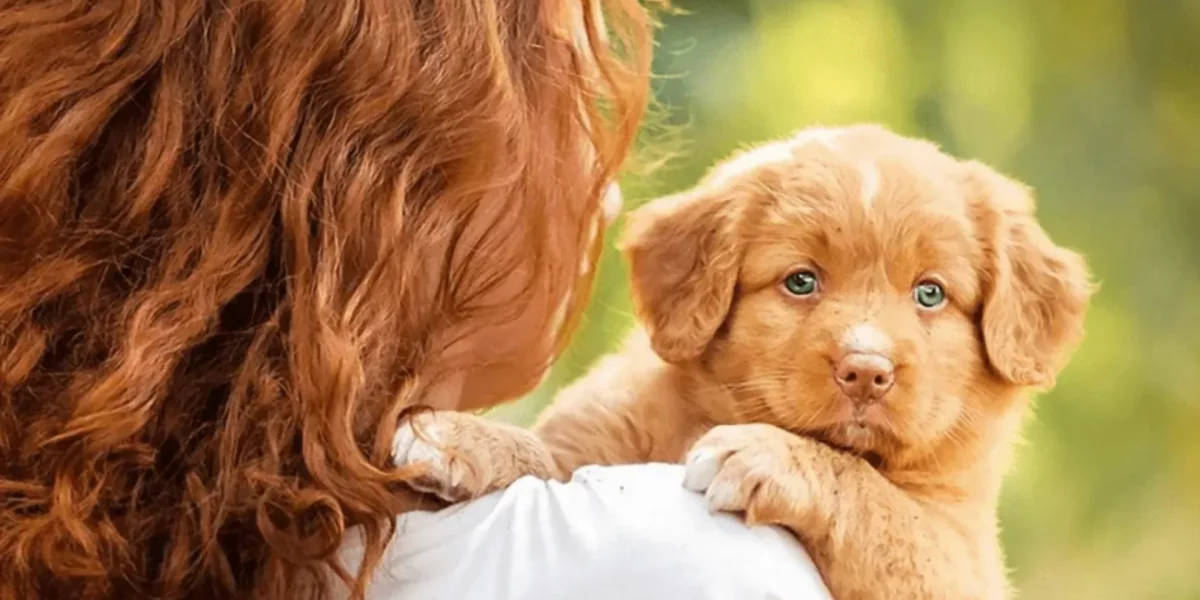 Dog Adoption Checklist