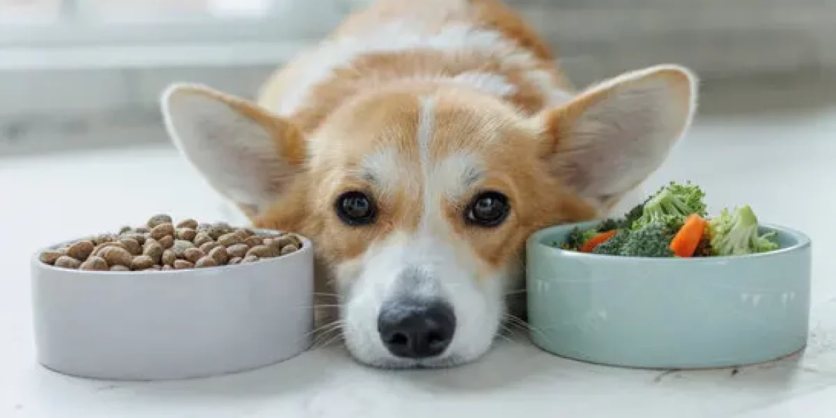 Dog Don't Eat