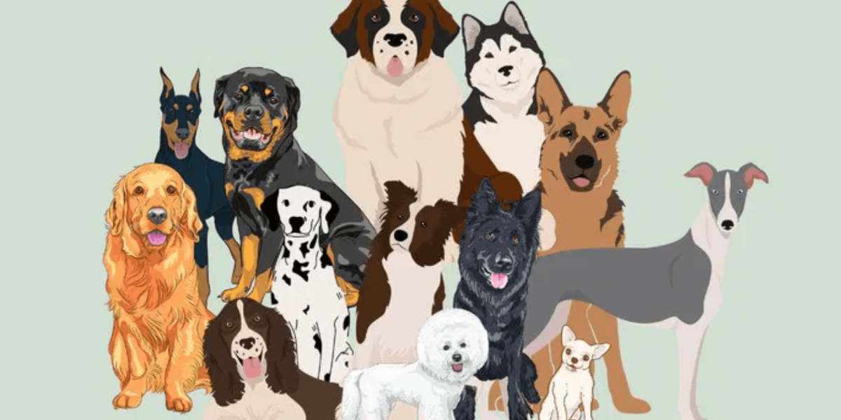 Types of Dog Breeds